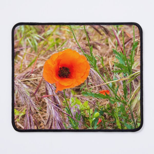 Item preview, Vibrant Orange Poppy Blooming Among Wild Grasses In A Sunlit Meadow Landscape designed and sold by Nmallia.