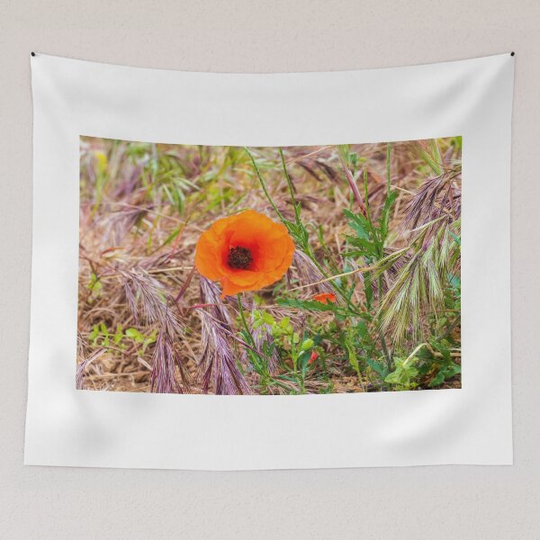 Item preview, Vibrant Orange Poppy Blooming Among Wild Grasses In A Sunlit Meadow Landscape designed and sold by Nmallia.