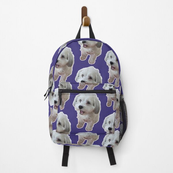 Item preview, Shocked Havanese Dog designed and sold by rafaelohavana.
