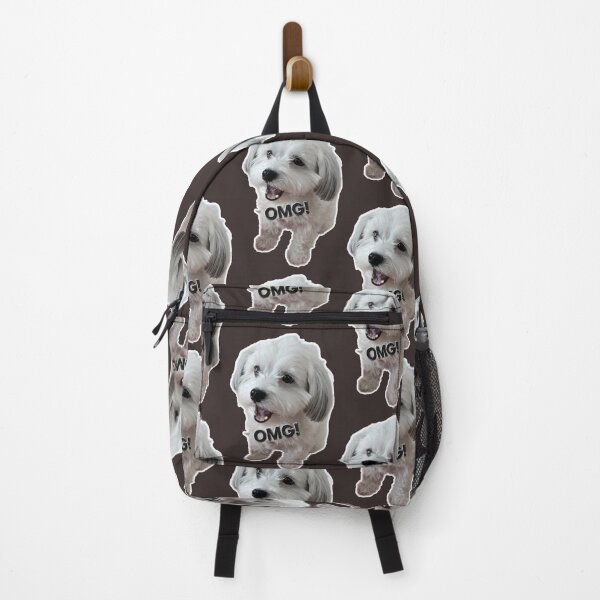 Item preview, Rafaelo Havanese dog OMG shocked Sticker designed and sold by rafaelohavana.