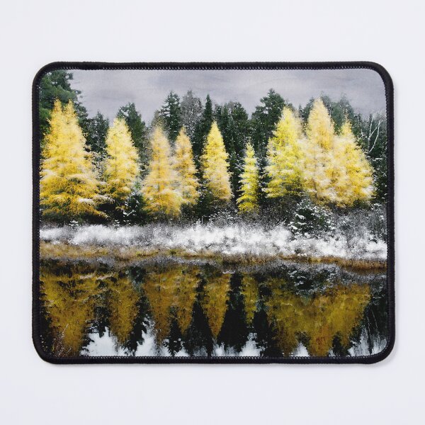 Item preview, Tamarack Under a Painted Sky designed and sold by Wayne King.