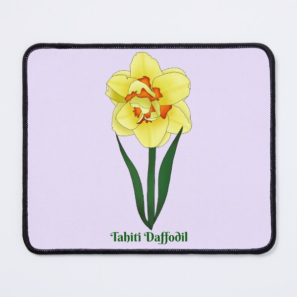Item preview, Tahiti Daffodil flower  designed and sold by Floralfusion.