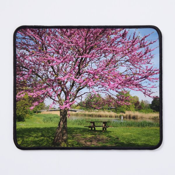 Item preview, A flowering spring tree by the lake – pink blossoms & clear colors designed and sold by Wanderlicht.