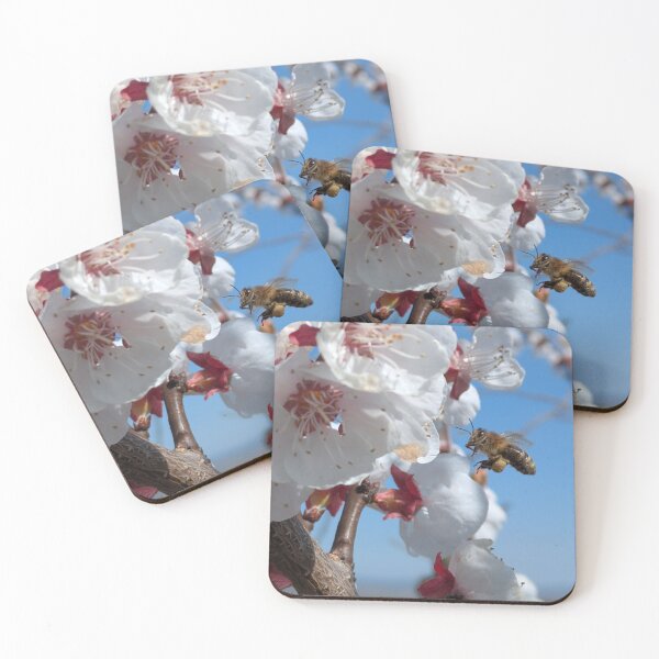 Item preview, Biene an Frühlingsblüten – Natur in Bewegung designed and sold by Wanderlicht.
