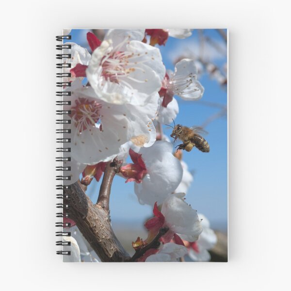 Item preview, Biene an Frühlingsblüten – Natur in Bewegung designed and sold by Wanderlicht.