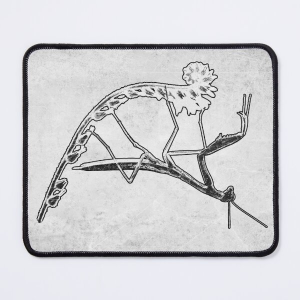 Item preview, Praying Mantis: Dark Nature Etched Illustration Gothic Insect designed and sold by Ghoul Enterprises.