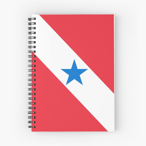 Item preview, Para Square Flag Brazil State Emblem designed and sold by NTGUILTY.