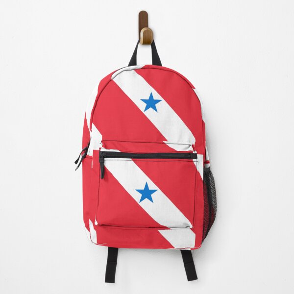 Item preview, Para Square Flag Brazil State Emblem designed and sold by NTGUILTY.