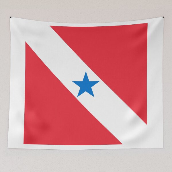 Item preview, Para Square Flag Brazil State Emblem designed and sold by NTGUILTY.