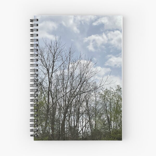 Item preview, Springtime Sky designed and sold by Abeink1030.