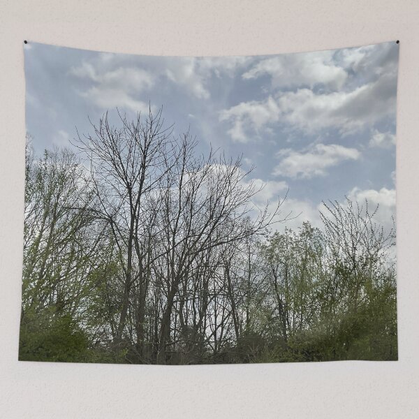 Item preview, Springtime Sky designed and sold by Abeink1030.