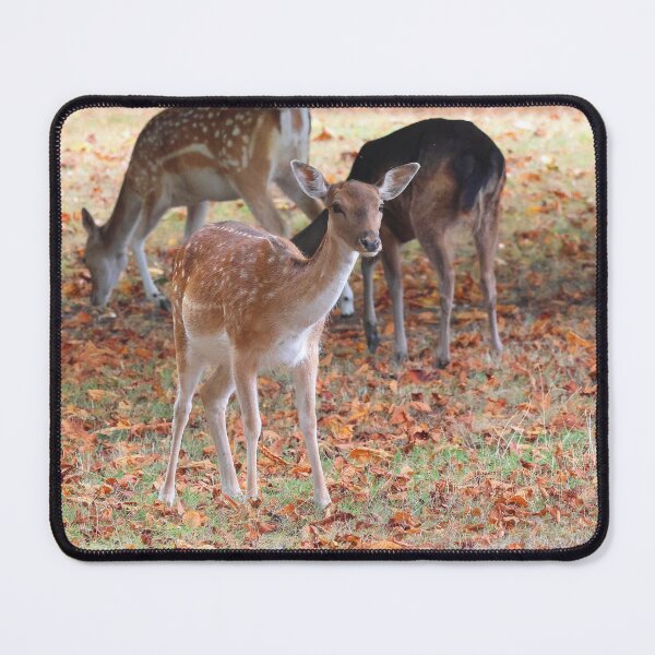 Item preview, Fallow Deer designed and sold by LeanneAllen.