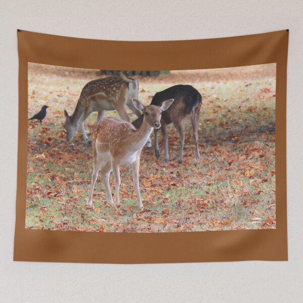 Item preview, Fallow Deer designed and sold by LeanneAllen.