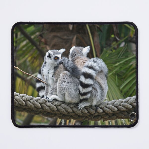 Item preview, Cuddle Buddies designed and sold by LeanneAllen.