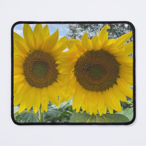 Item preview, Duo of Sunflowers Blooming designed and sold by CrowCottage51.
