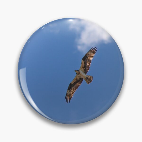 Item preview, Right Place, Right Time — Osprey in Flight Wildlife Photography designed and sold by Viddas Lens.