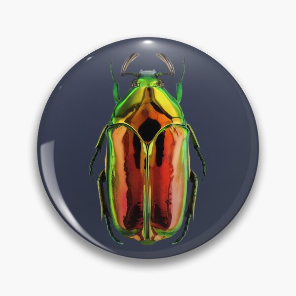 Item preview, Leggi argomento - Anthaxia (Anthaxia) fulgurans designed and sold by MorningFive.