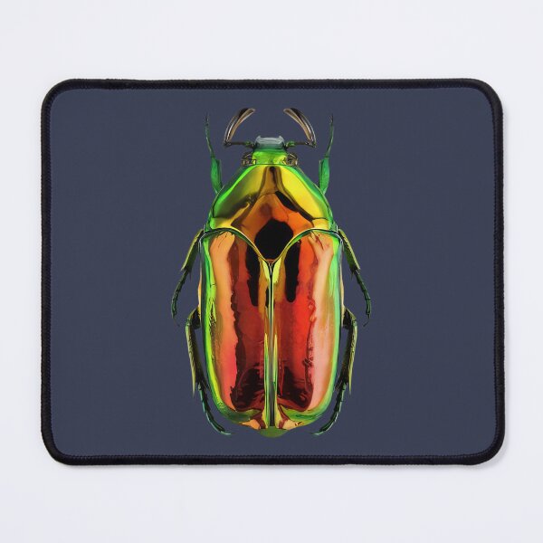 Item preview, Leggi argomento - Anthaxia (Anthaxia) fulgurans designed and sold by MorningFive.