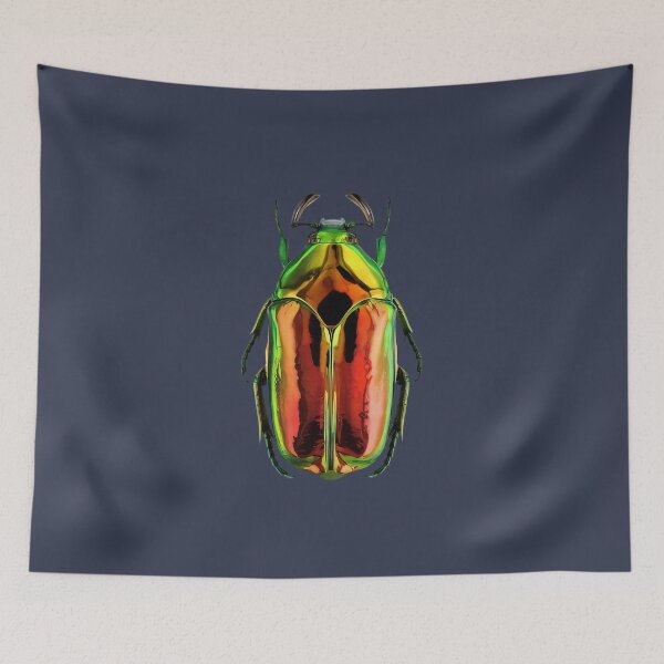 Item preview, Leggi argomento - Anthaxia (Anthaxia) fulgurans designed and sold by MorningFive.