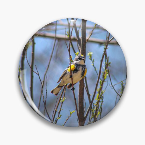 Item preview, The Wait — Yellow-Rumped Warbler Spring Wildlife Photography designed and sold by Viddas Lens.