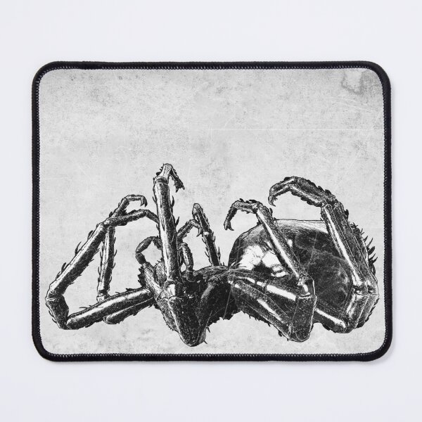 Item preview, Expired Spider: High Contrast Etched Illustration Dark Nature Art designed and sold by Ghoul Enterprises.