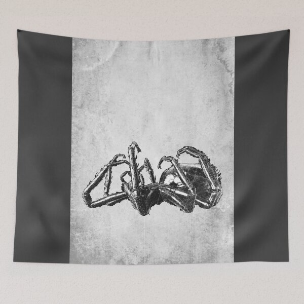 Item preview, Expired Spider: High Contrast Etched Illustration Dark Nature Art designed and sold by Ghoul Enterprises.