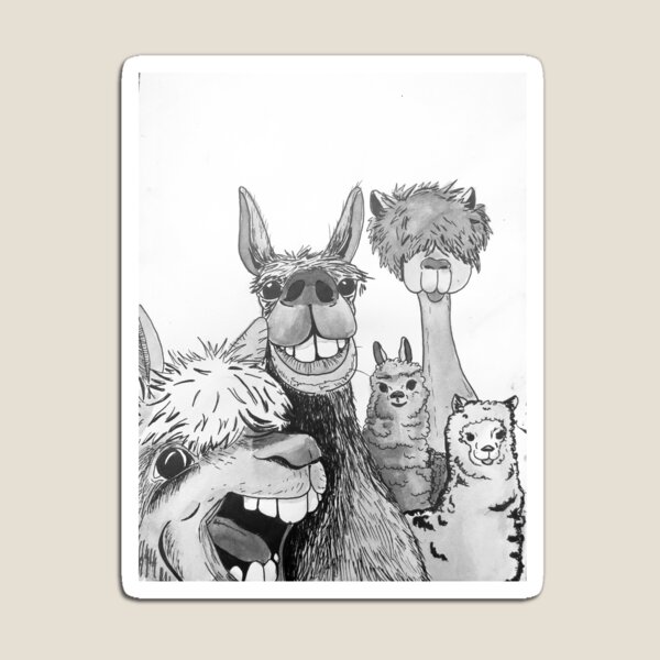 On 3 say LLama! Magnet