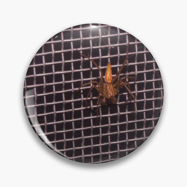 Item preview, Striped Lynx Spider designed and sold by ROSE ANN BANILAR.