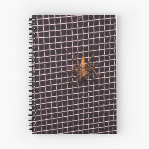 Item preview, Striped Lynx Spider designed and sold by ROSE ANN BANILAR.