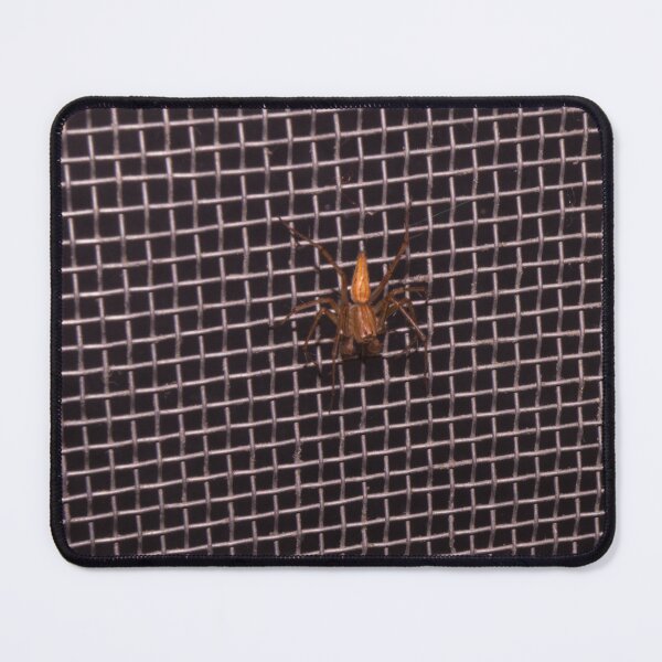 Item preview, Striped Lynx Spider designed and sold by ROSE ANN BANILAR.