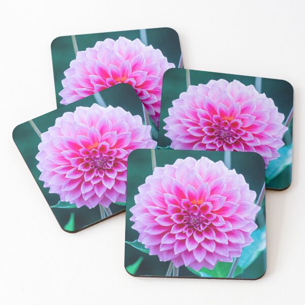 Item preview, Pink Dahlia designed and sold by Ross.A.Campbell.