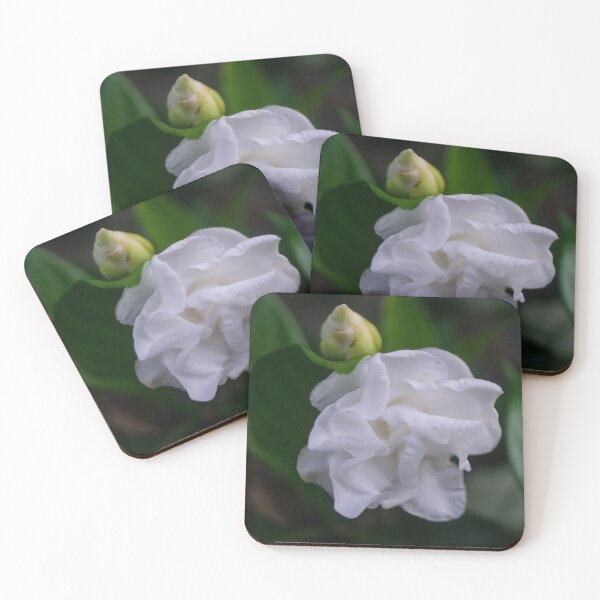 Item preview, Gardenia designed and sold by ROSE ANN BANILAR.