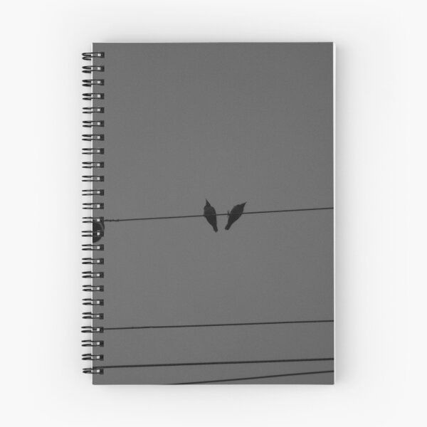 Item preview, B&W -  Two Birds Perched on Electric Post designed and sold by ROSE ANN BANILAR.