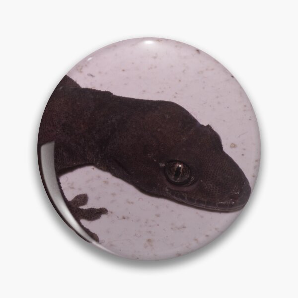 Item preview, Common House Gecko_02 designed and sold by ROSE ANN BANILAR.