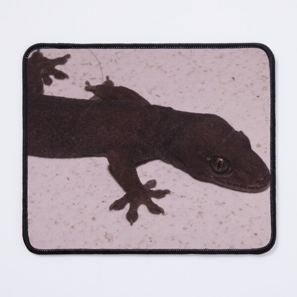 Item preview, Common House Gecko_02 designed and sold by ROSE ANN BANILAR.