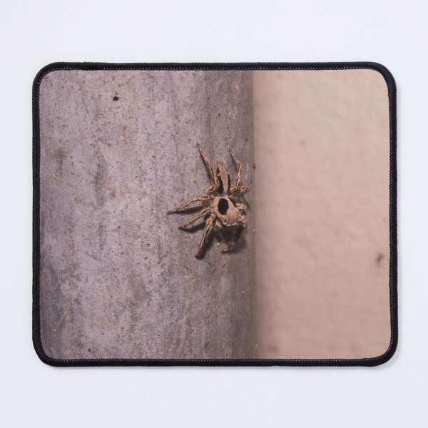 Item preview, Pantropical Jumping Spider designed and sold by ROSE ANN BANILAR.