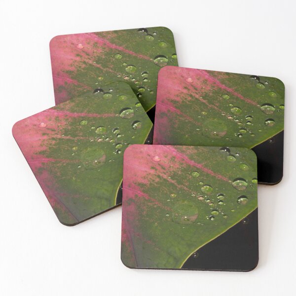 Item preview, Caladium plant designed and sold by ROSE ANN BANILAR.