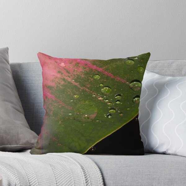 Item preview, Caladium plant designed and sold by ROSE ANN BANILAR.