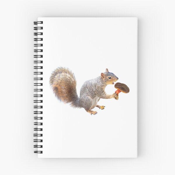 Item preview, Squirrel Eating Mushroom designed and sold by catsclips.