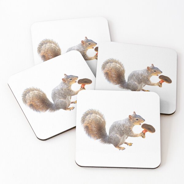 Item preview, Squirrel Eating Mushroom designed and sold by catsclips.