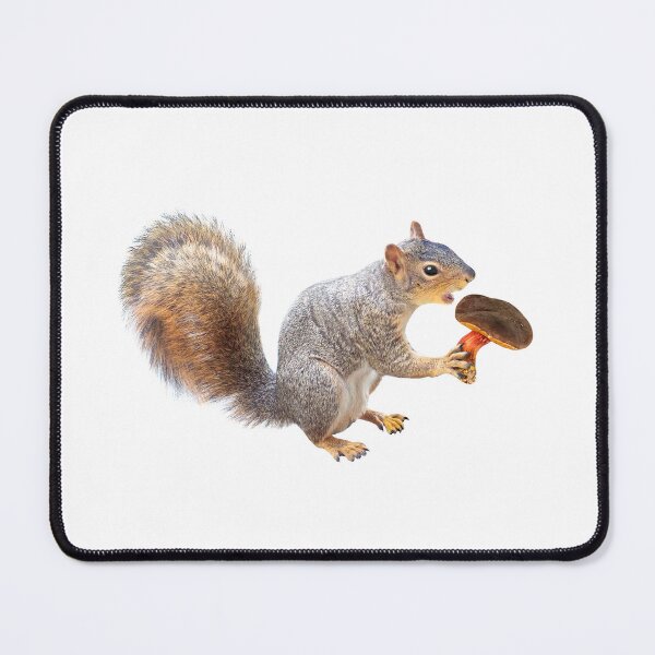 Item preview, Squirrel Eating Mushroom designed and sold by catsclips.