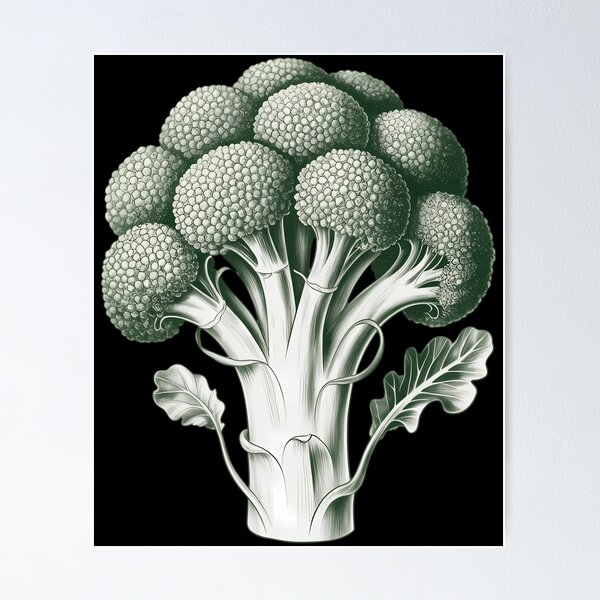 Item preview, Vegetable Broccoli Drawing Graphic - Broccoli designed and sold by TyraYoung.