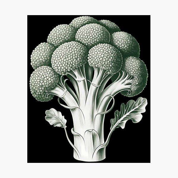 Item preview, Vegetable Broccoli Drawing Graphic - Broccoli designed and sold by TyraYoung.