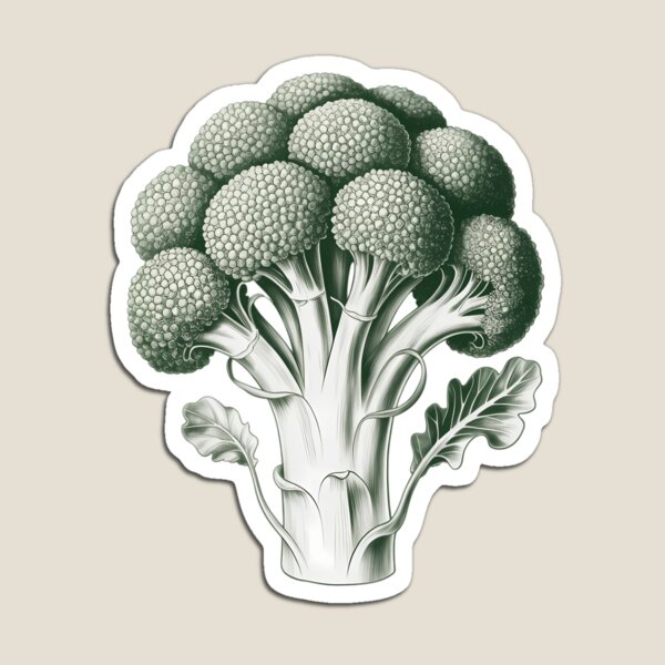 Item preview, Vegetable Broccoli Drawing Graphic - Broccoli designed and sold by TyraYoung.