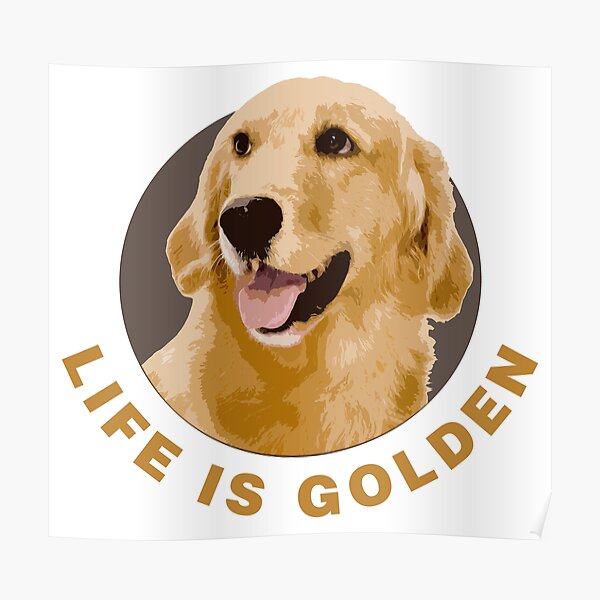 Life Is Golden, Retriever That Is Poster