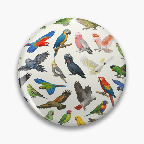 Item preview, Parrots of the World Retro Style Bird Chart designed and sold by kakarikihill.
