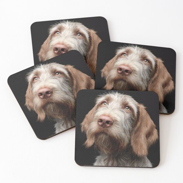 Item preview, Italian Spinone on Black designed and sold by Elisabeth Lucas.