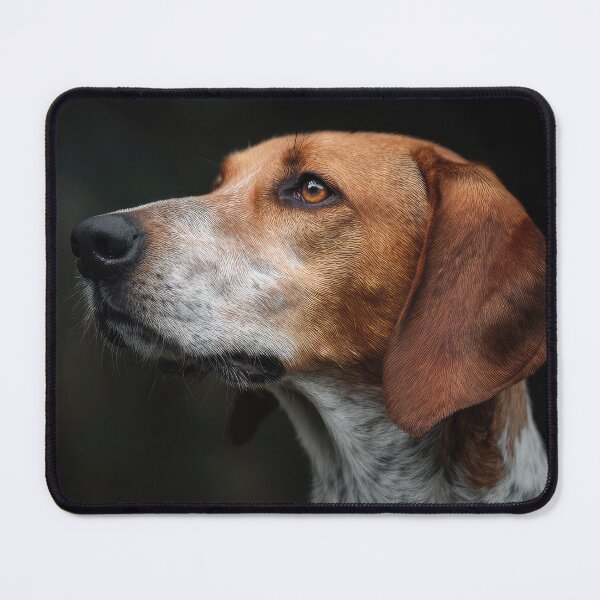 Item preview, Foxhound Portrait designed and sold by Elisabeth Lucas.