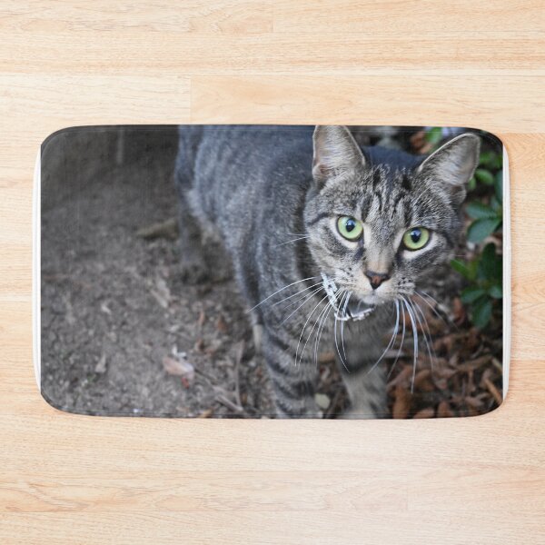 Item preview, Curious Tabby Cat in Nature designed and sold by getmybookstore.