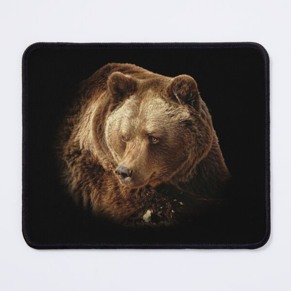 Item preview, Brown Bear designed and sold by Guardi71.